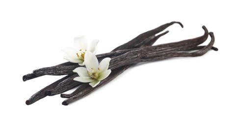 Photo of Vanilla pods and flowers isolated on white