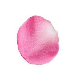 Photo of Pink rose flower petal on white background