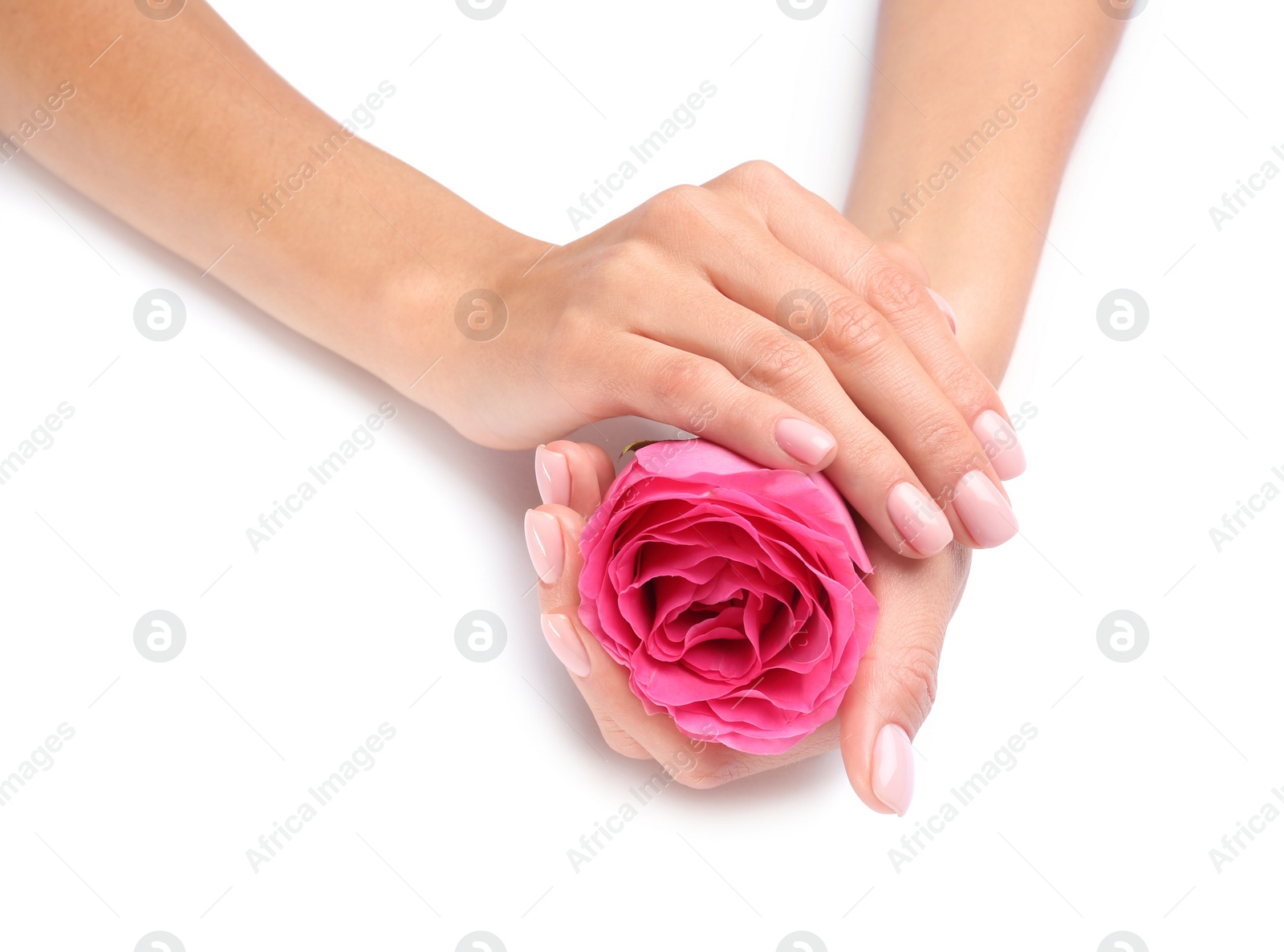 Photo of Woman holding rose on white background, closeup. Spa treatment