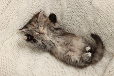 Photo of Cute kitten sleeping on white knitted blanket, top view