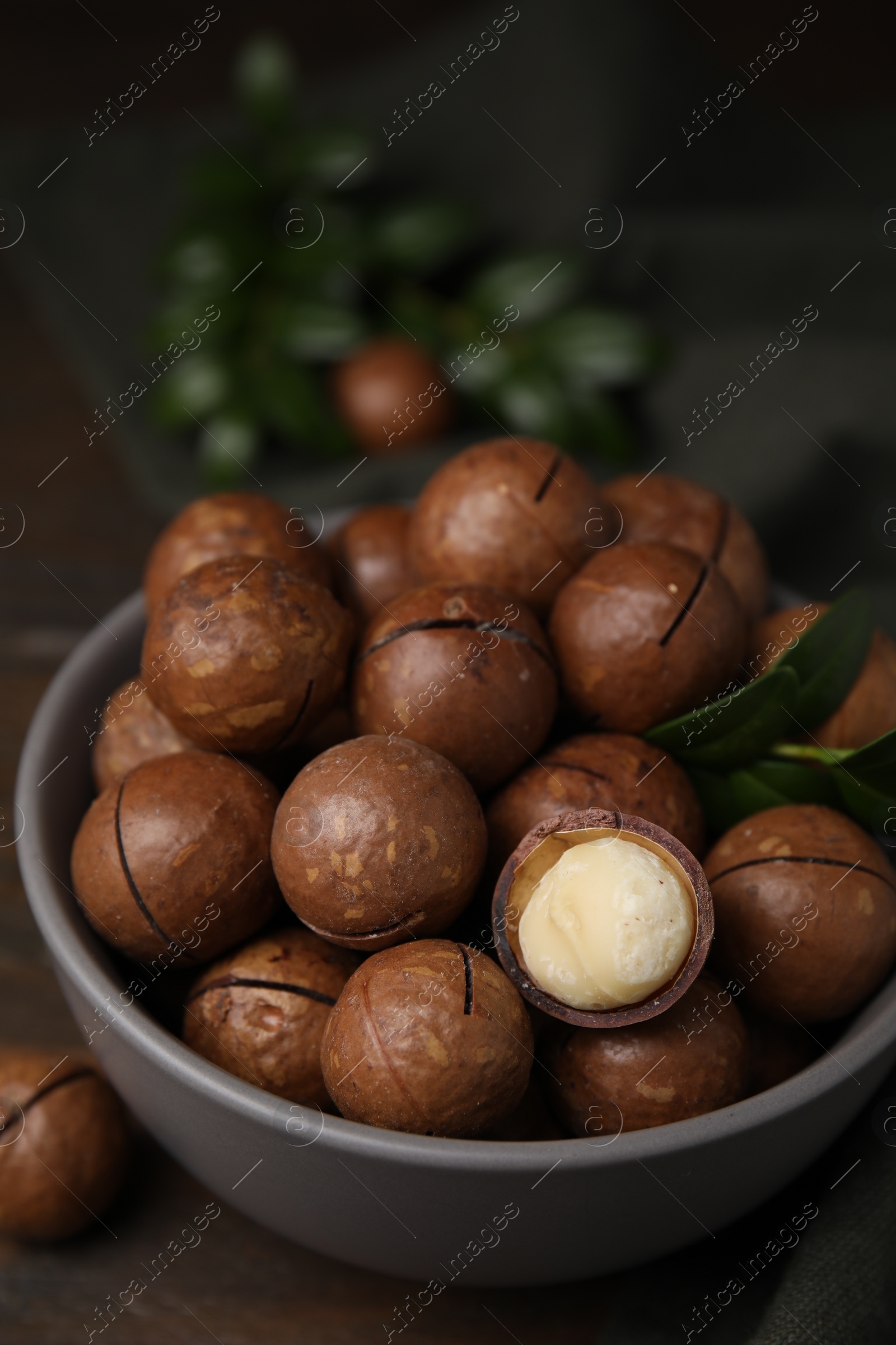 Photo of Tasty Macadamia nuts and green twig in bowl on wooden table, closeup