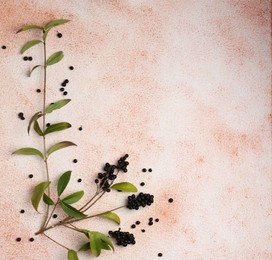 Green privet leaves and black berries on beige textured background, flat lay. Space for text