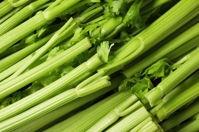 Photo of Many fresh green celery bunches as background, top view