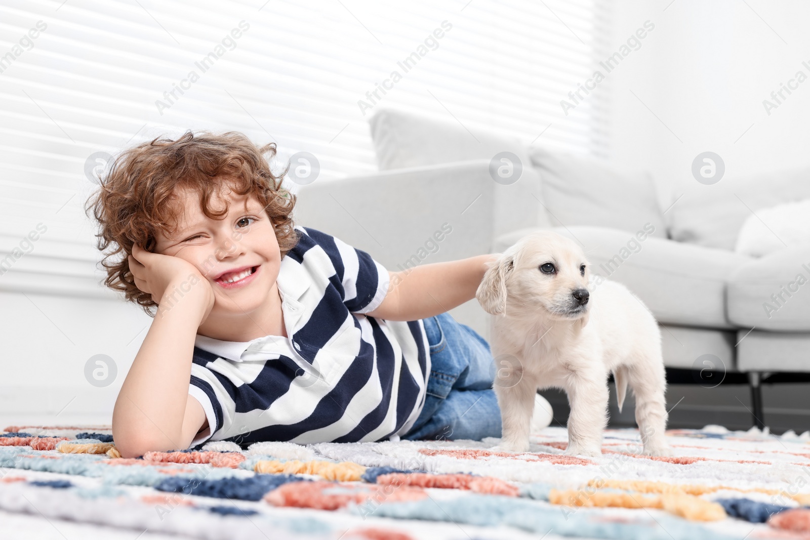 Photo of Little boy with cute puppy on carpet at home