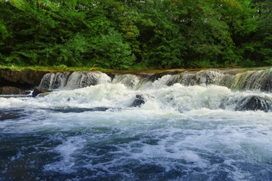 Picturesque view on river with rapids near forest