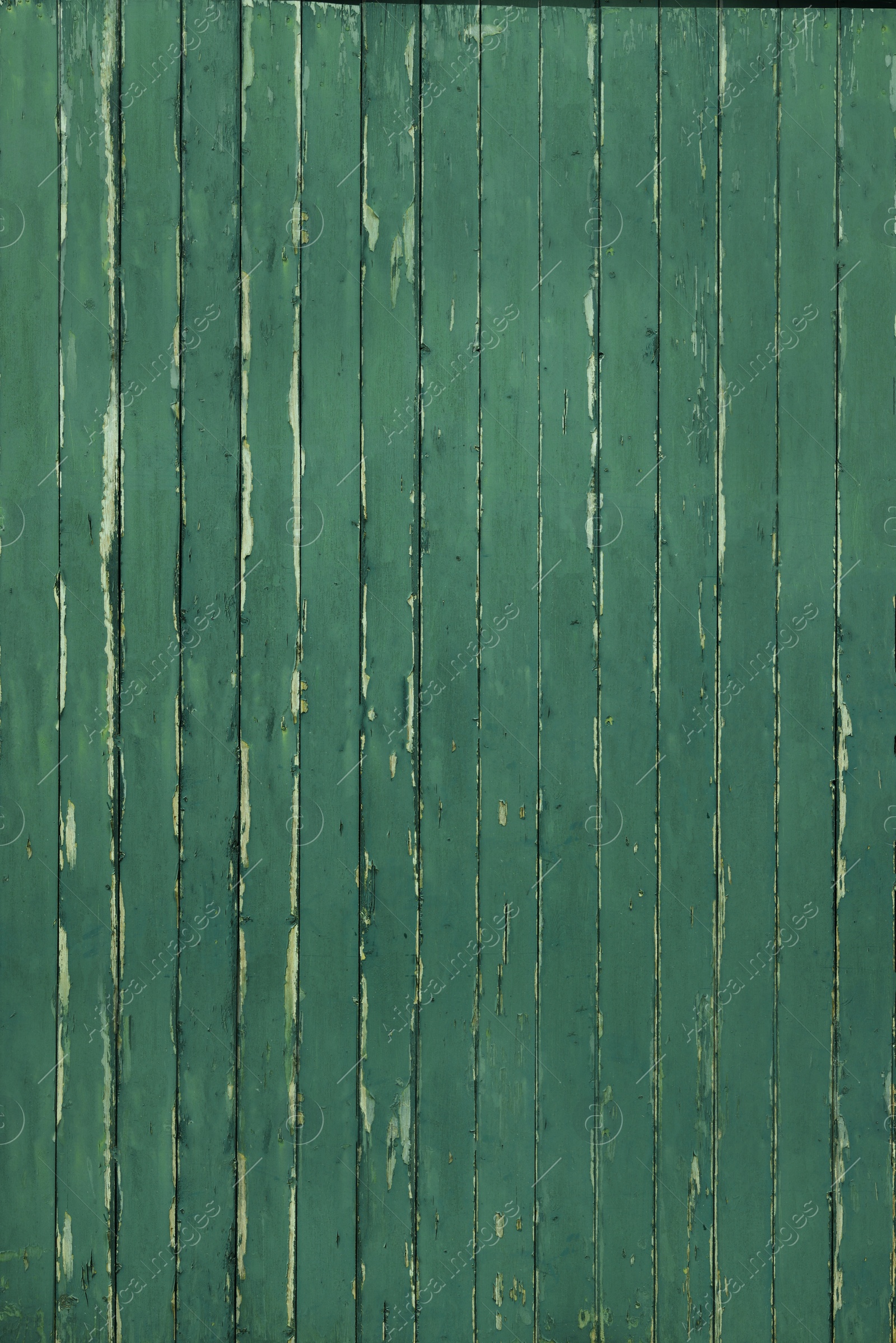 Photo of Texture of old green wall as background