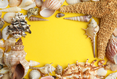 Photo of Frame of sea shells on yellow background, flat lay. Space for text