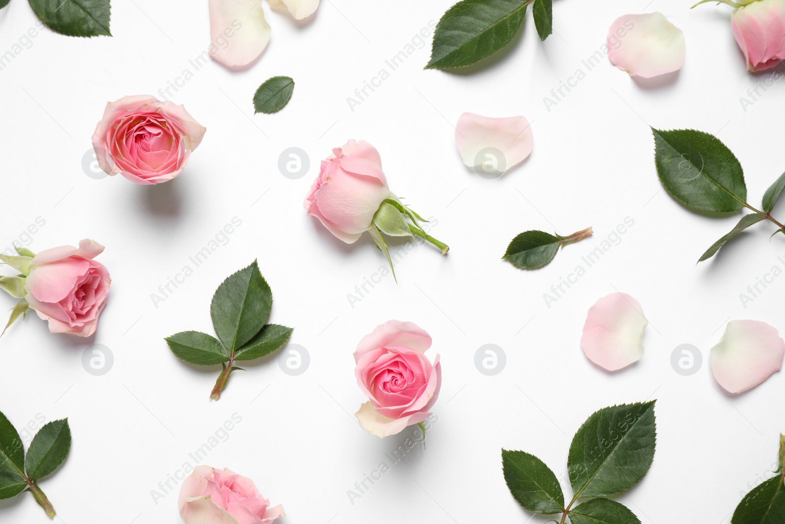 Photo of Composition with beautiful flowers on white background, top view. Floral card design