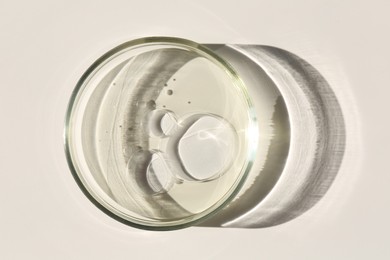 Photo of Petri dish with liquid sample on light background, top view