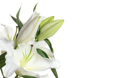 Photo of Beautiful lilies on white background, closeup view