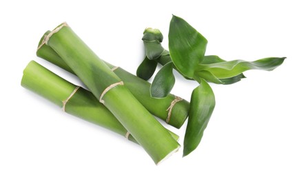 Pieces of beautiful green bamboo stems on white background, top view
