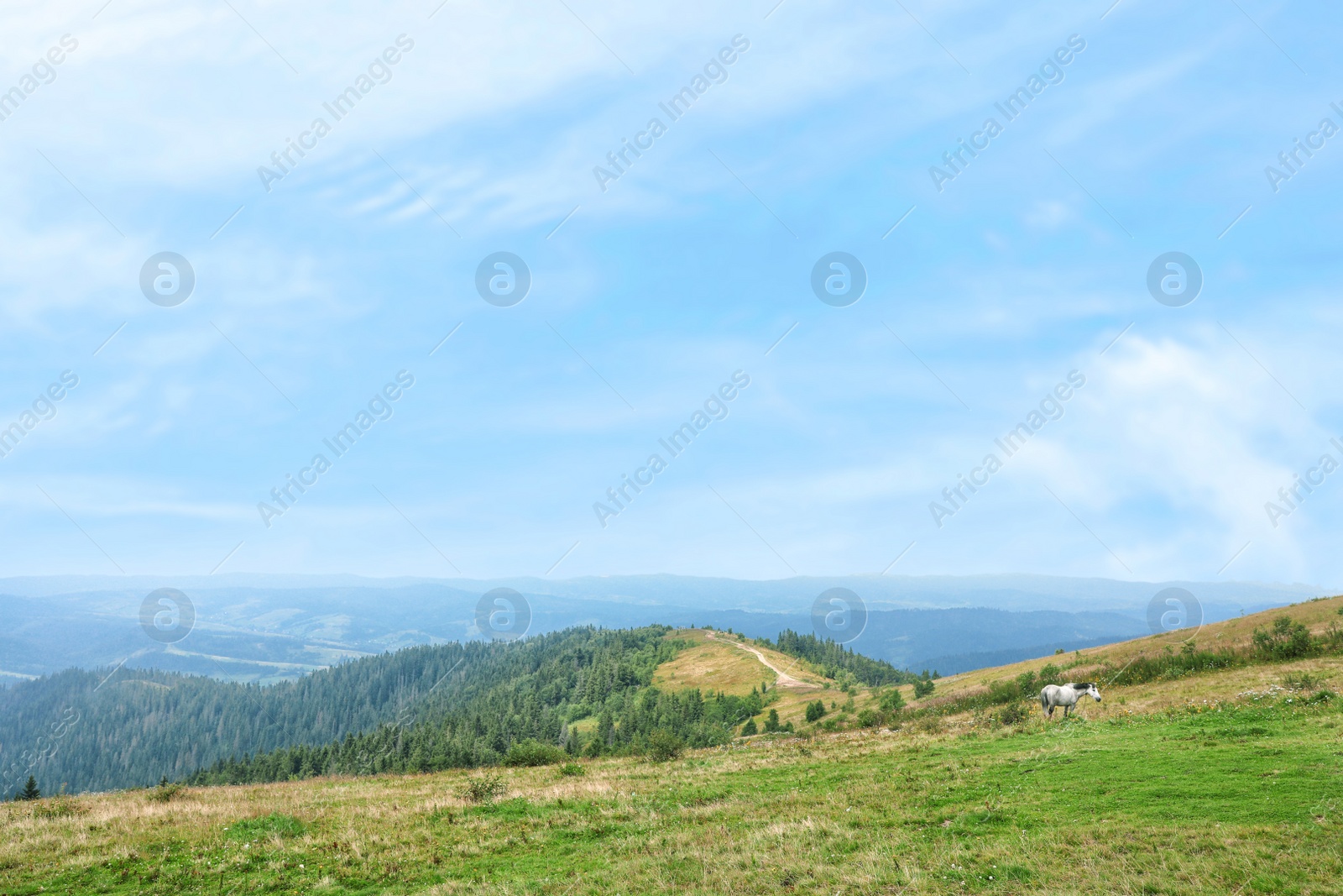 Photo of Picturesque landscape with mountain forest