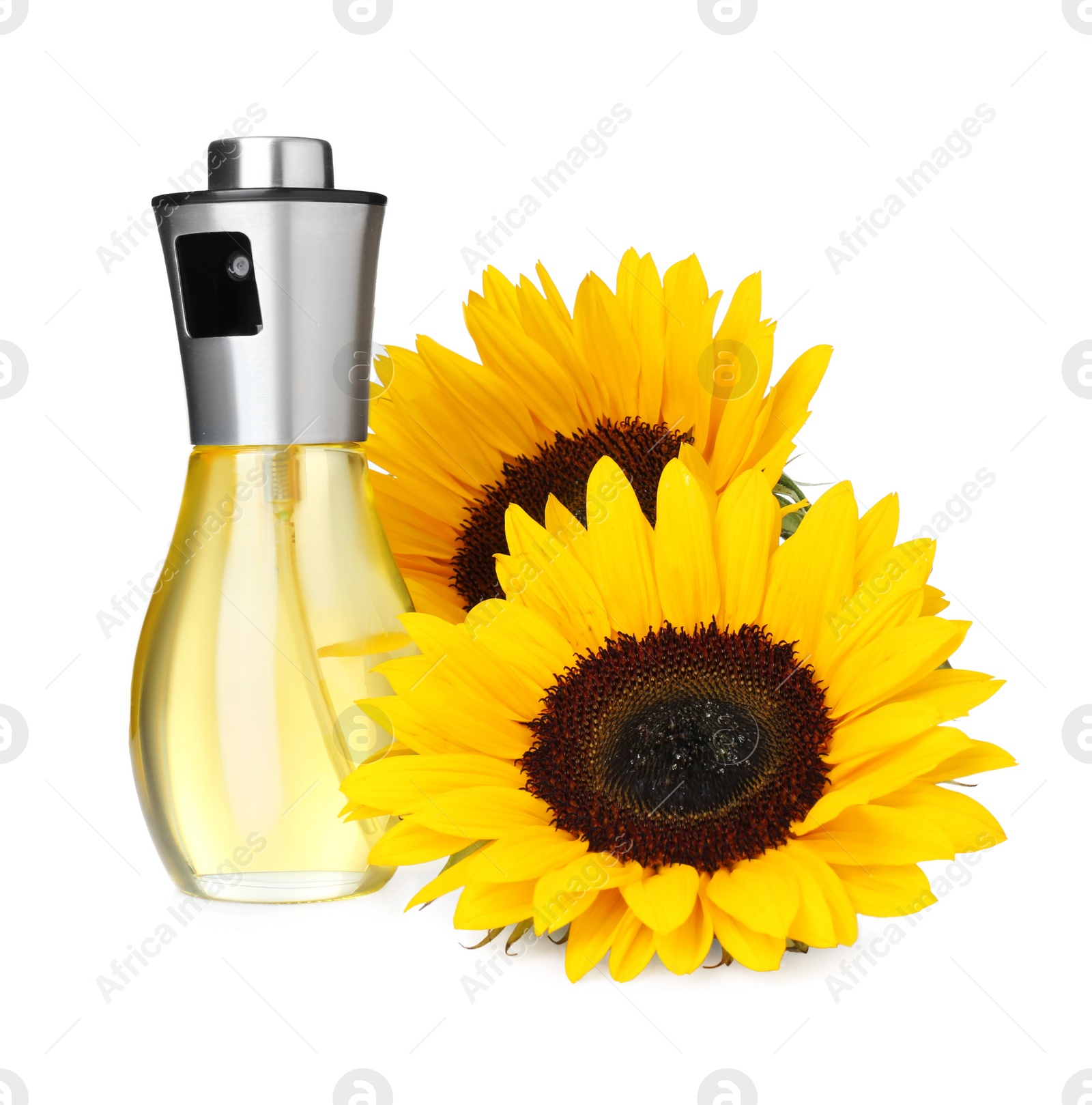 Photo of Spray bottle with cooking oil and sunflowers on white background