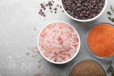 Different kinds of salt on grey table, flat lay. Space for text