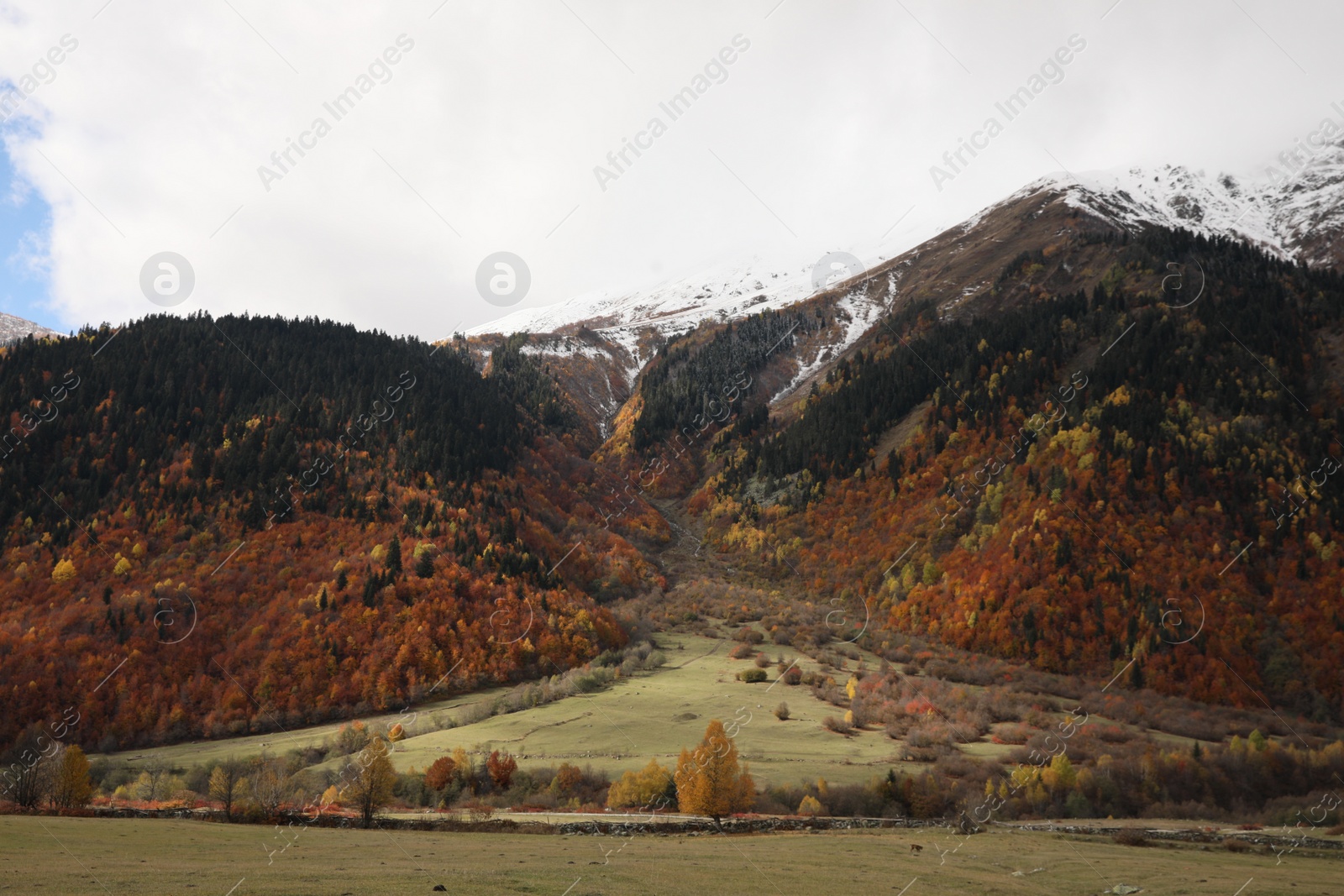 Photo of Picturesque view of mountain landscape with forest and meadow on autumn day