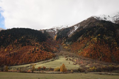 Picturesque view of mountain landscape with forest and meadow on autumn day