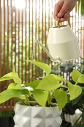 Woman watering beautiful house plant from can, closeup