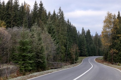 Photo of Beautiful view of asphalt highway going through coniferous forest. Autumn season