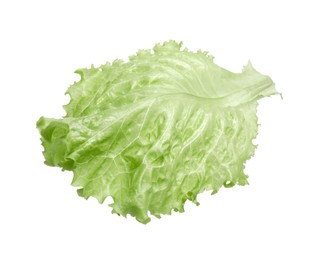 Fresh green lettuce leaf isolated on white