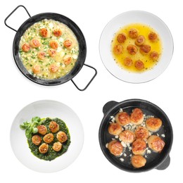 Image of Set with delicious fried scallops isolated on white, top view