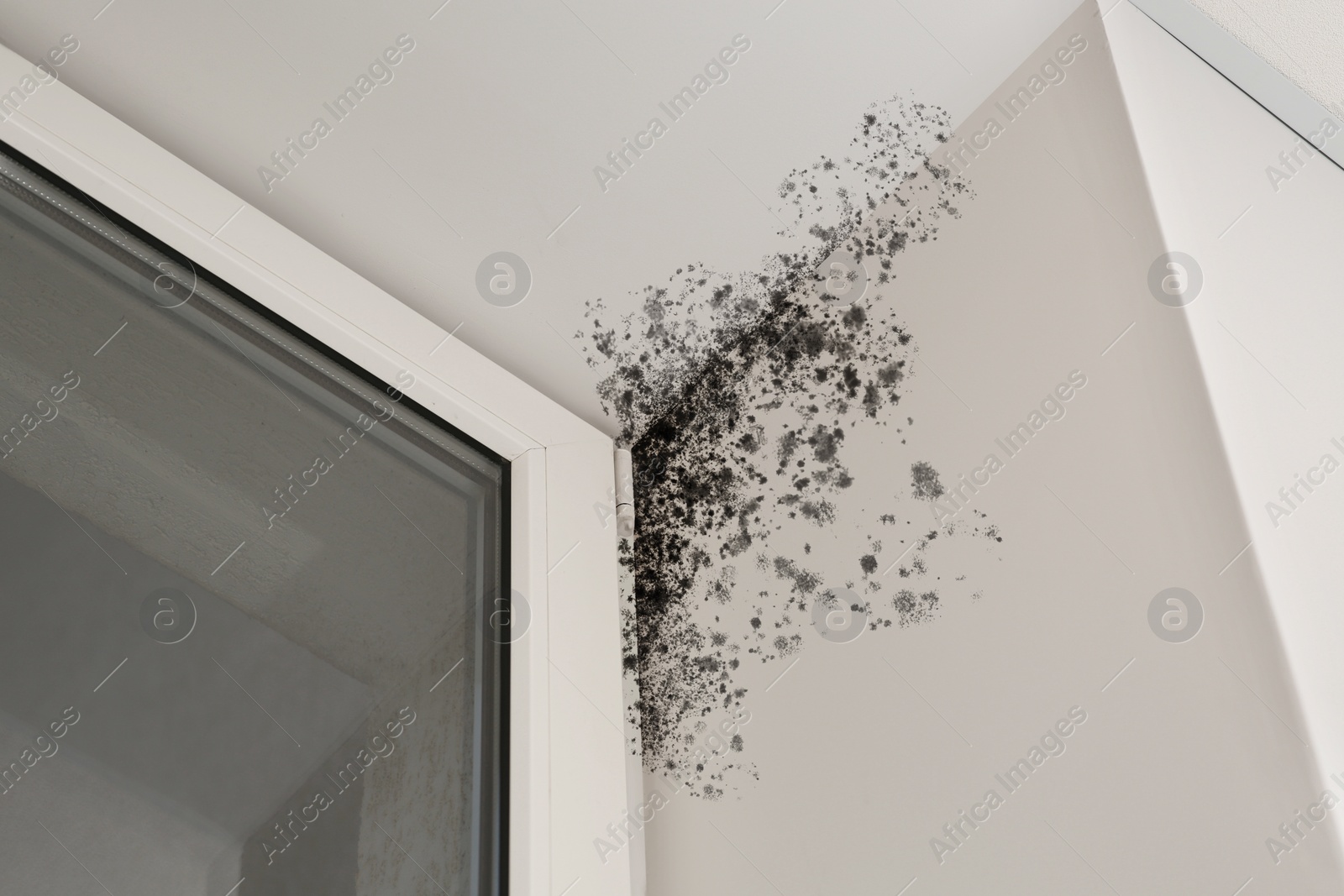 Image of Window slopes affected with mold in room