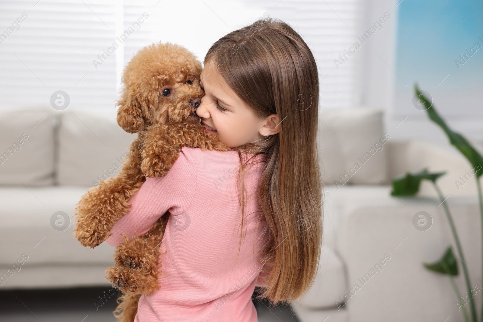 Photo of Little child with cute puppy at home. Lovely pet