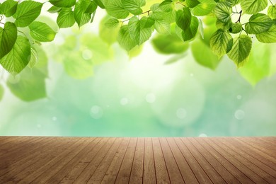 Image of Empty wooden surface and beautiful green leaves on blurred background. Bokeh effect