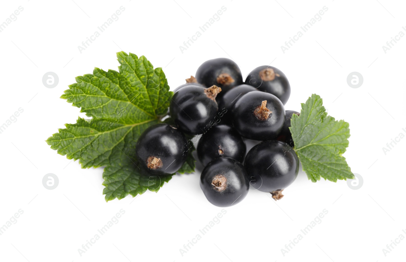 Photo of Ripe blackcurrants and leaves isolated on white