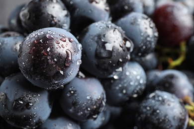 Photo of Fresh ripe juicy black grapes as background, closeup view