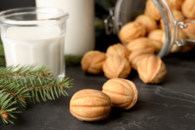 Homemade walnut shaped cookies, milk and fir branches on black table, closeup. Space for text