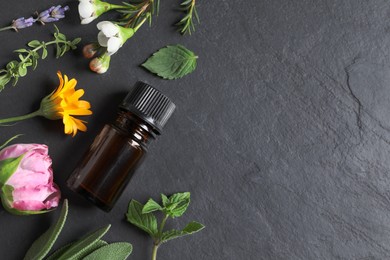 Bottle of essential oil, different herbs and flowers on black table, flat lay. Space for text