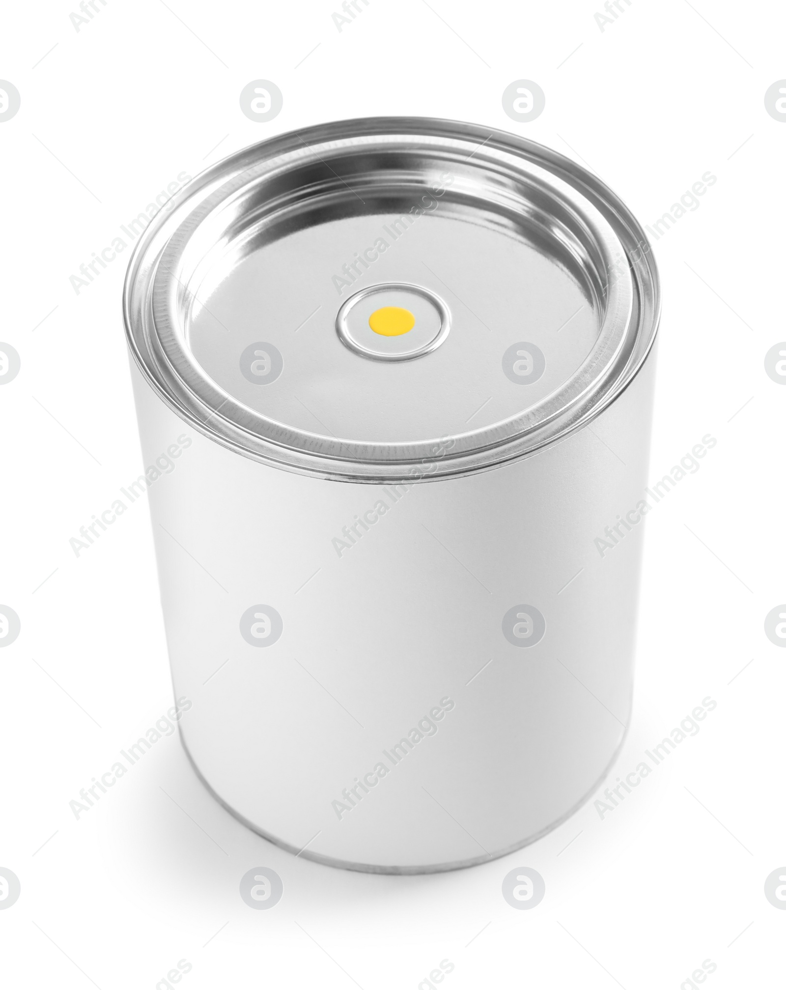 Photo of Closed blank can of paint isolated on white