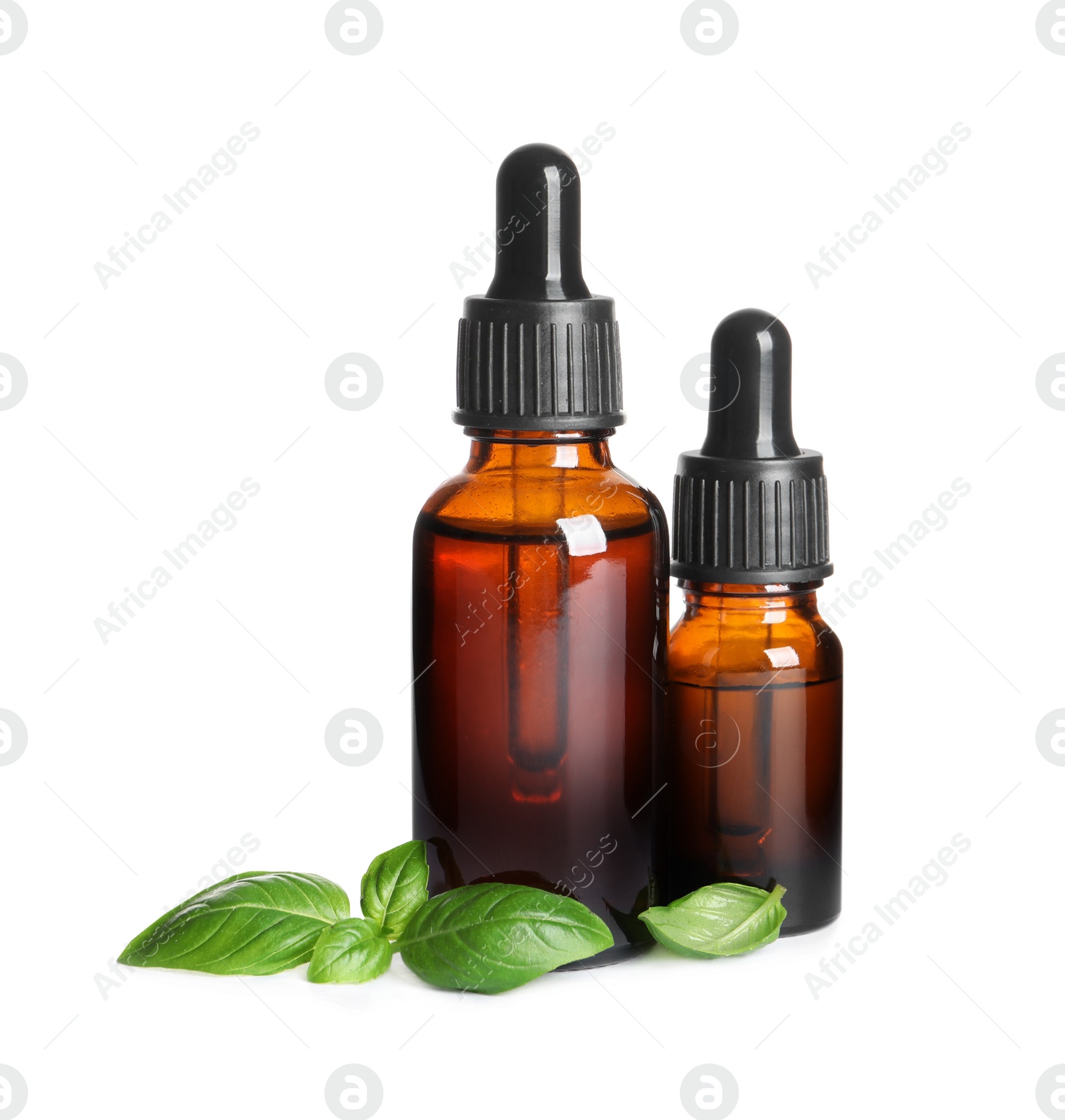 Photo of Glass bottles of basil essential oil and leaves on white background