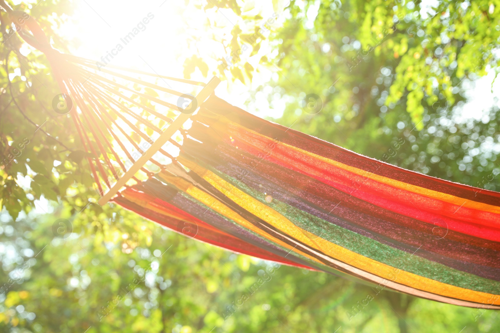 Photo of Bright comfortable hammock hanging in green garden