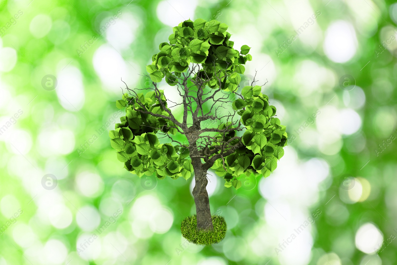 Image of Tree with green leaves in shape of recycling symbol on blurred background. Bokeh effect