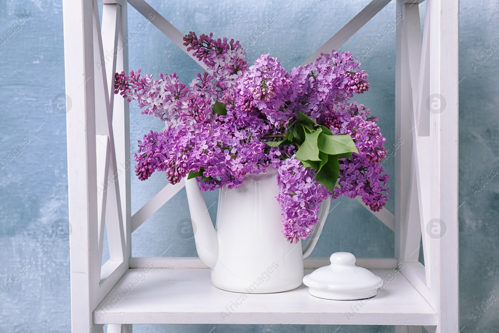 Photo of Pot with blossoming lilac on shelf against color background. Spring flowers