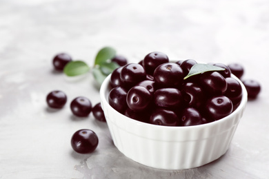 Fresh acai berries in bowl on light grey table, closeup