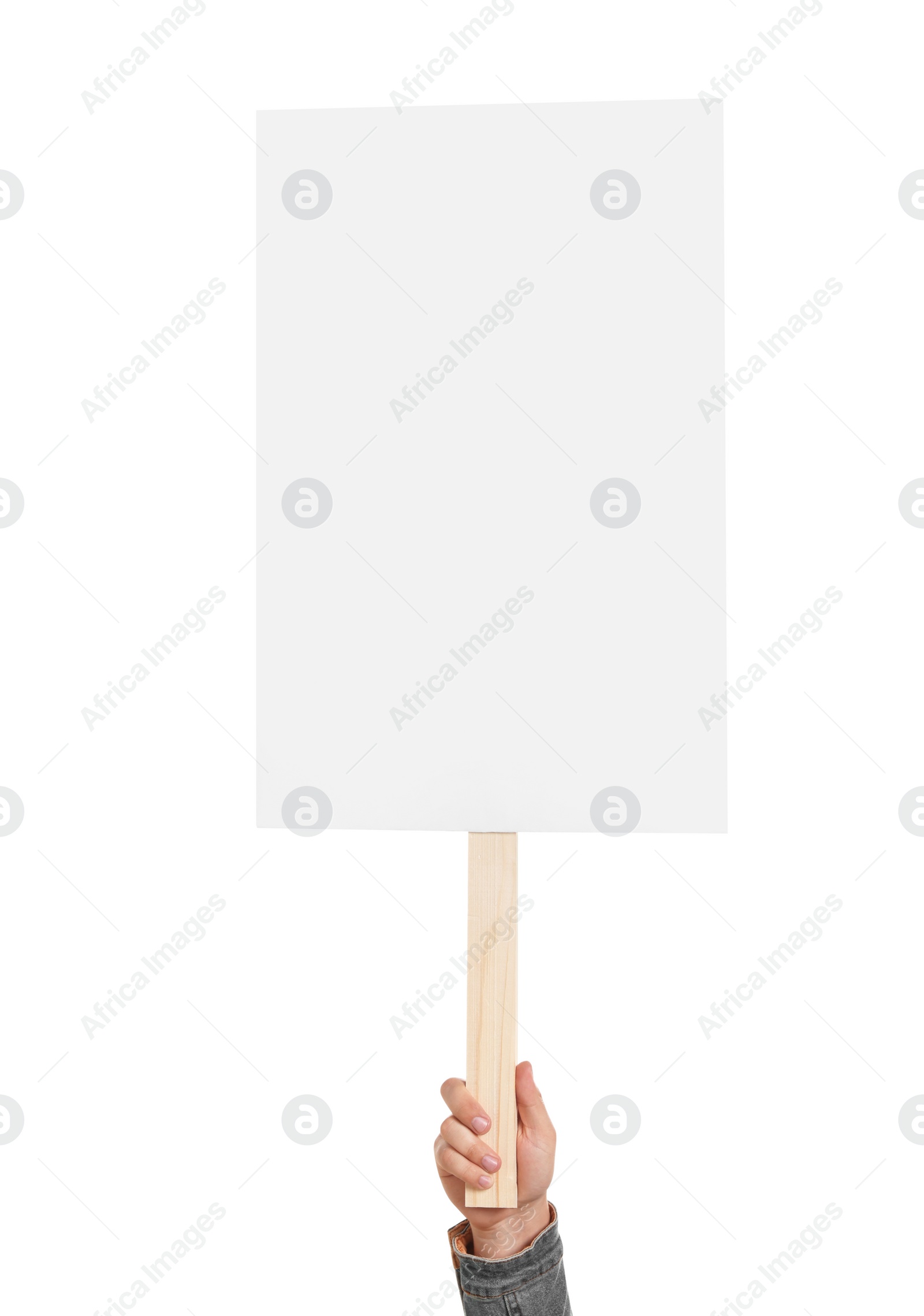 Photo of Man holding blank protest sign on white background, closeup