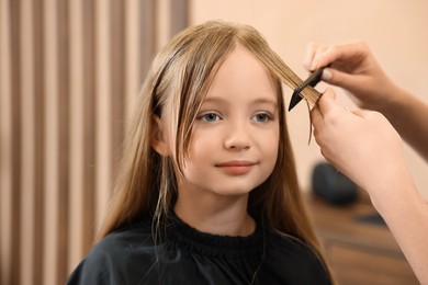 Photo of Professional hairdresser combing girl's hair in beauty salon