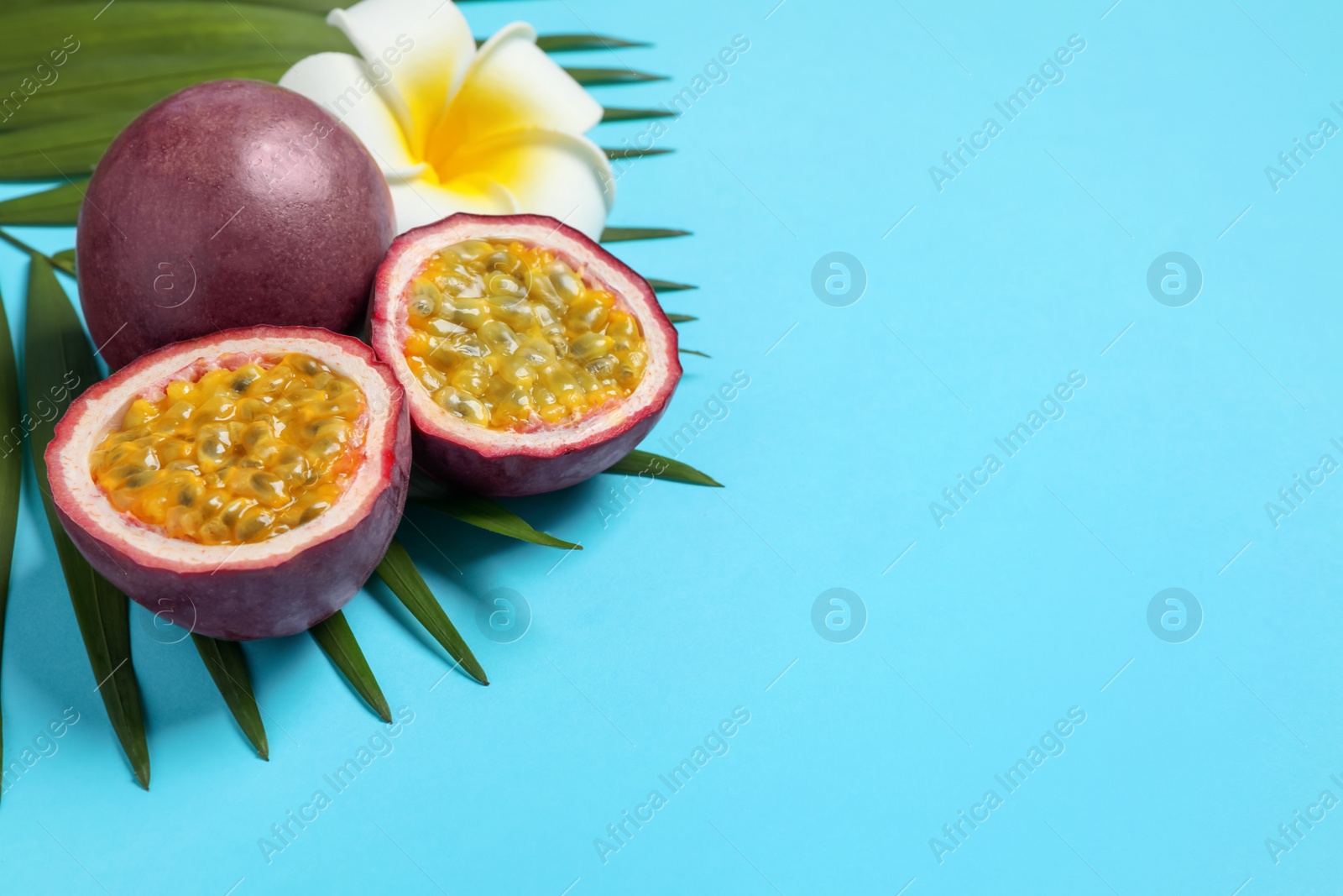 Photo of Passion fruits (maracuyas), flower and palm leaf on light blue background. Space for text