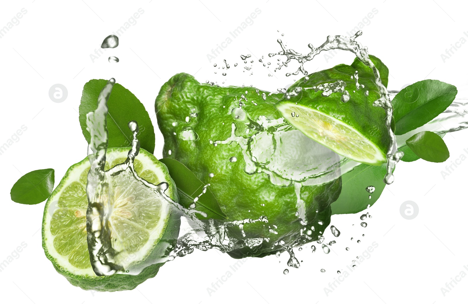 Image of Fresh ripe bergamot fruits, green leaves and splashing water on white background