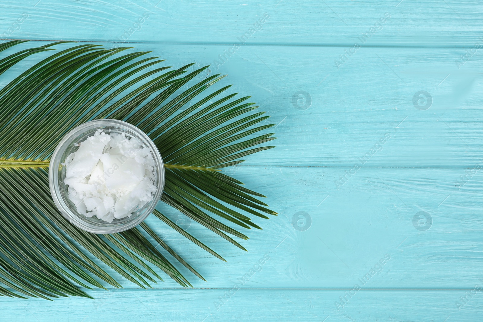 Photo of Organic coconut oil and palm branch on light blue wooden table, top view with space for text. Healthy cooking