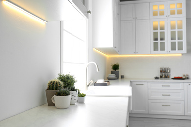 Beautiful houseplants near sink in stylish kitchen interior