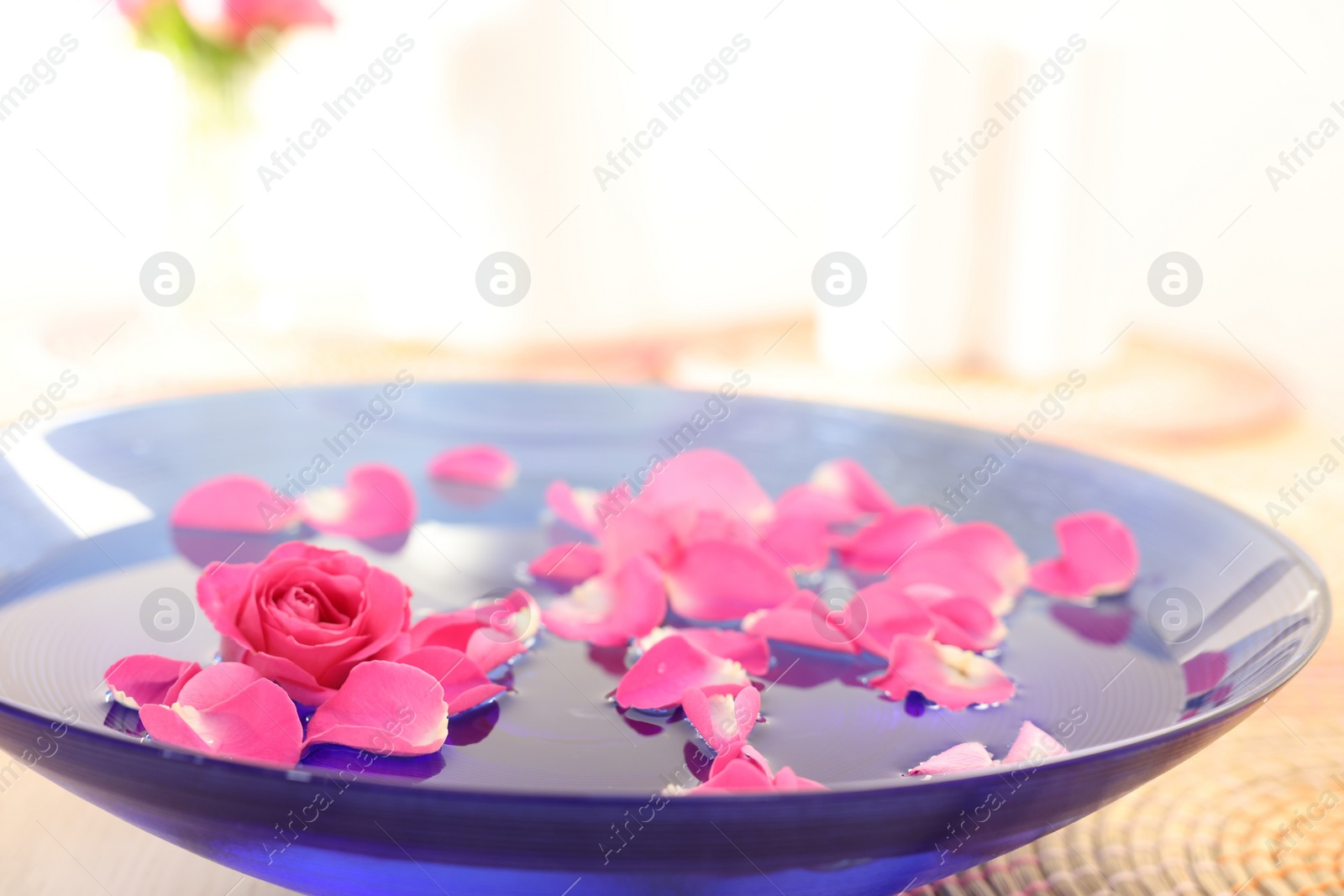 Photo of Pink rose and petals in bowl with water, closeup