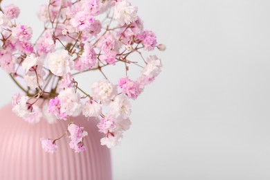 Beautiful gypsophila flowers in pink vase on white background, closeup