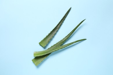 Fresh aloe vera leaves on light blue background, flat lay