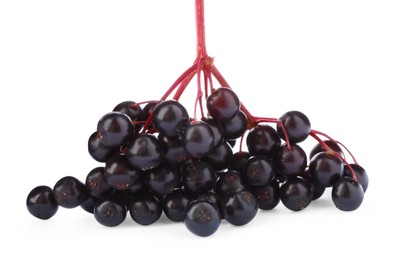 Cluster of elderberries (Sambucus) isolated on white