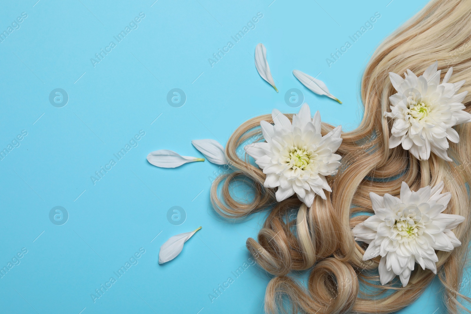 Photo of Lock of healthy blond hair with flowers on light blue background, flat lay. Space for text