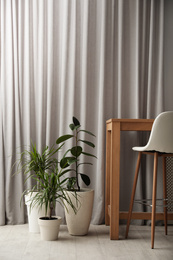 Beautiful potted plants near wooden table in room