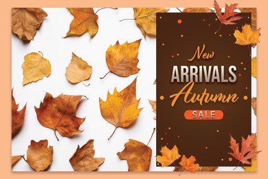 Image of New arrivals. Flyer design with dry leaves and text Autumn Sale on white background, flat lay